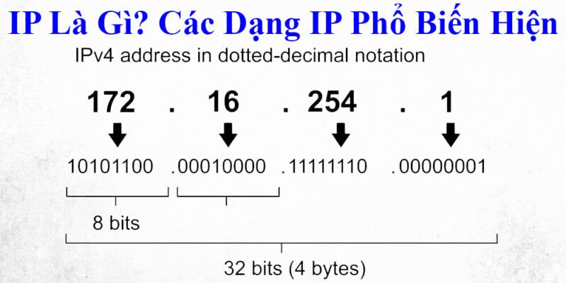 IP Là Gì?