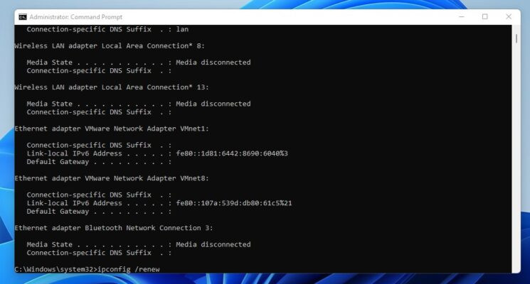reset ip ipconfig renew