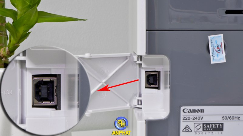 Kết nối cáp USB từ máy tính đến máy in Canon LBP 2900