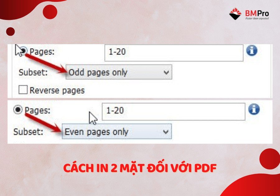 Chọn Odd Pages only để in các trang lẻ của văn bản PDF