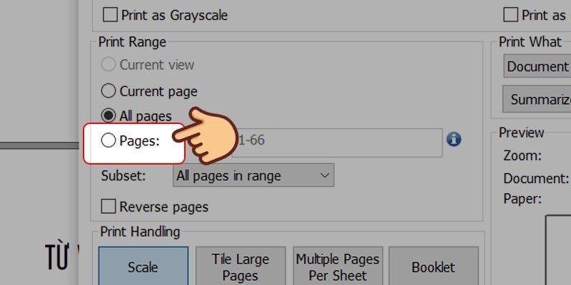 Trong mục Pages, nhập số trang hoặc chọn các tùy chọn để chỉ định in trang chẵn hoặc trang lẻ cho PDF thủ công