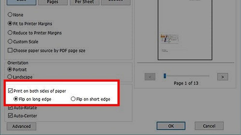 Tùy chọn Print on both sides of paper cho phép in hai mặt tự động trong file PDF