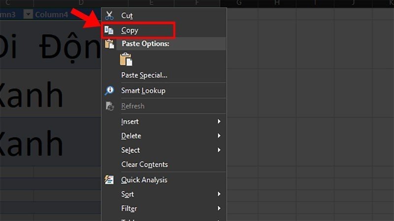 Sao chép (Copy) dữ liệu Excel đã chọn