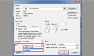 Hộp thoại Print với các tùy chọn in trang lẻ chẵn tương tự như trong Word 2003 và Word 2007