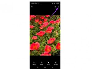 Menu tùy chọn ảnh trong Google Photos trên Android