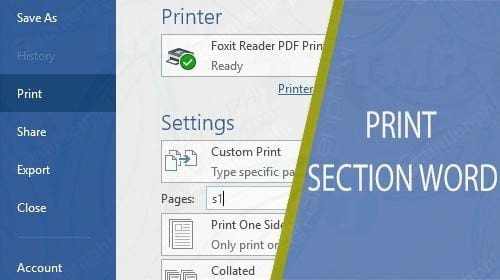 Giao diện Word với các section được phân chia rõ ràng trước khi thực hiện cách in section trong word