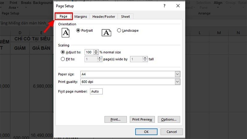 Tab Page trong hộp thoại Page Setup hiển thị các tùy chọn định hướng và tỷ lệ cho việc in ngang file Excel