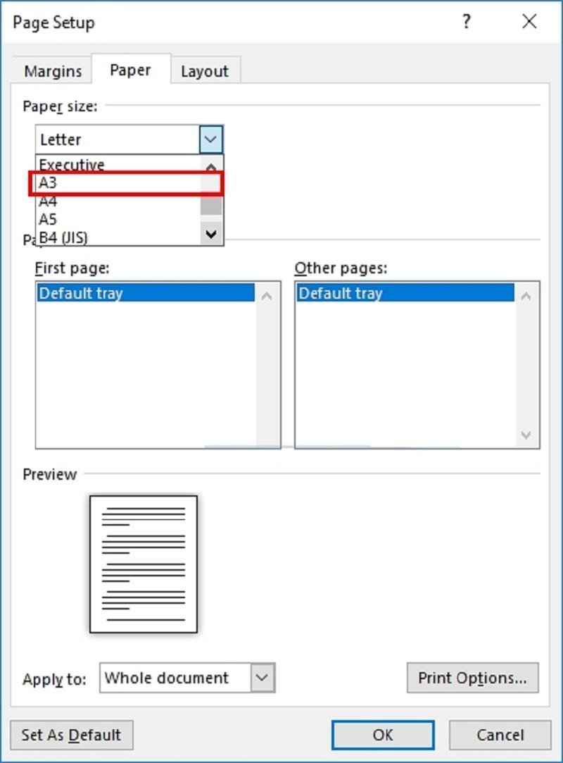 Giao diện cài đặt tùy chọn in để chọn khổ giấy A3