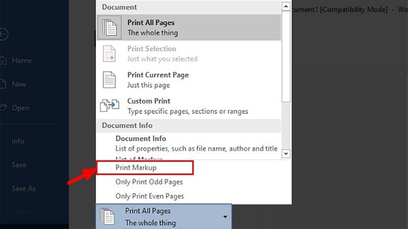 Tùy chọn phạm vi trang in và hiển thị markup khi in văn bản từ Word 2013