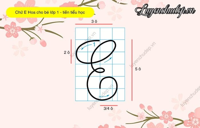 Hướng dẫn viết chữ E hoa cỡ lớn (5 ô li) cho bé lớp 1