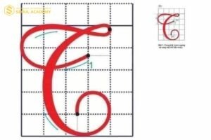 Cách viết chữ hoa “T” đơn giản và dễ luyện tập