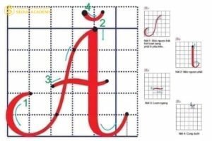 Hướng dẫn chi tiết các nét viết chữ Ă in hoa chuẩn