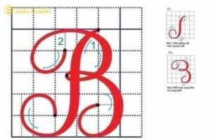 Luyện viết chữ hoa “B” theo các bước cơ bản