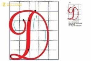 Cách viết chữ hoa “D” với đường cong mềm mại