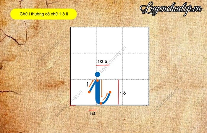 Cách viết chữ i thường cỡ 1 ô li chi tiết