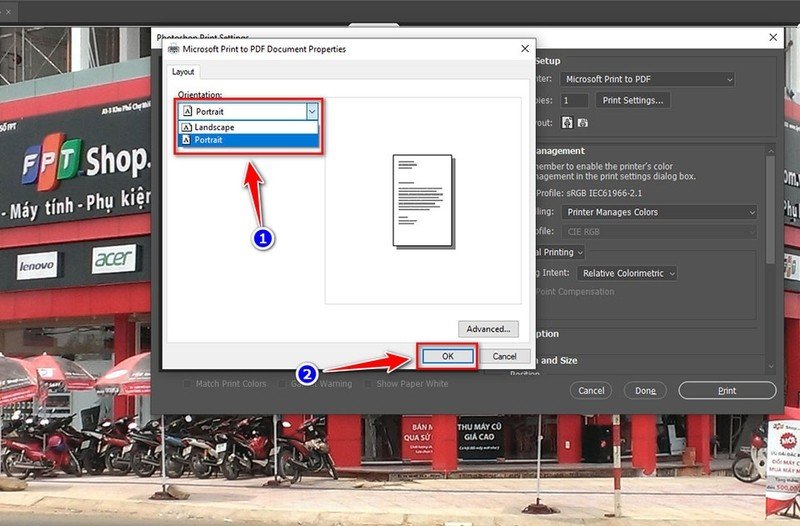 Xem trước bố cục ảnh và điều chỉnh kích thước, lề in