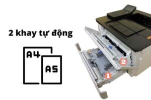 Khay đựng giấy máy in Canon 2900: Tầm quan trọng & Cách chọn