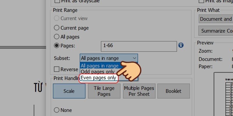 Tùy chọn Odd/Even pages trong PDF