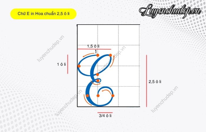 Mẫu chữ E in hoa chuẩn kích thước 2,5 ô li