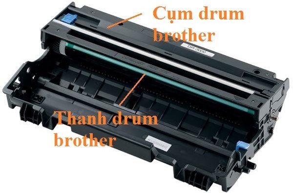 Cụm drum và thanh drum của máy in Brother minh họa cho việc reset drum máy in Brother 2366DW