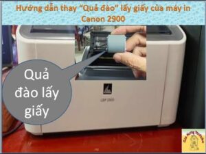 Hướng Dẫn Thay Quả Đào Máy In Canon 3300 Hiệu Quả