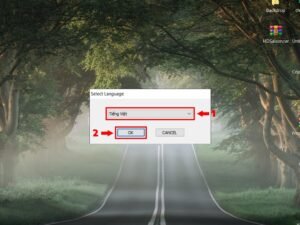 Chọn ngôn ngữ Tiếng Việt khi cài đặt trình điều khiển Brother L2520D
