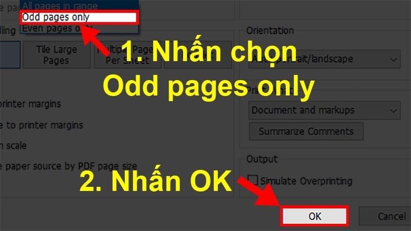 Chọn Odd pages only để in các trang lẻ của file PDF khi in hai mặt thủ công
