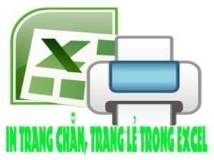 Giao diện bảng tính Excel, minh họa nhu cầu in 2 mặt trong Excel 2003