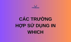 Định nghĩa và cách sử dụng cụm từ In which trong tiếng Anh
