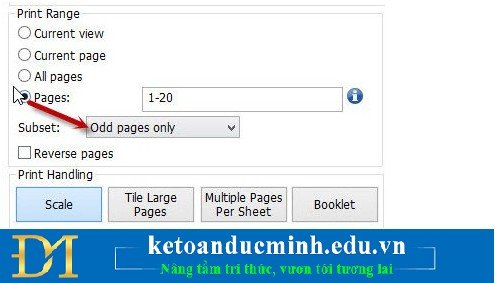 Lựa chọn Odd Pages only trong Adobe Reader để in trang lẻ khi cần in file PDF hai mặt thủ công