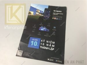 Tổng hợp các kích thước tờ rơi A4 A5 A6 A7 DL vuông phổ biến trong quy cách in ấn hiện nay