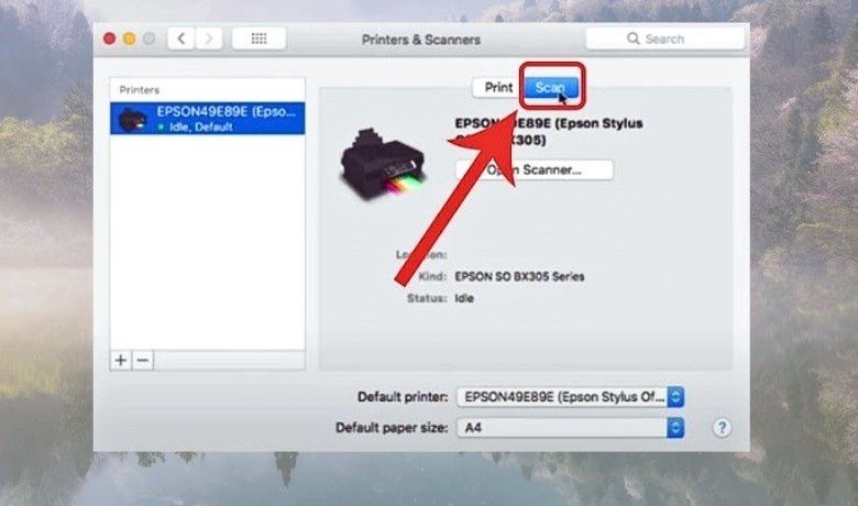 Giao diện thêm máy in và tùy chọn chia sẻ máy in qua mạng trên Macbook