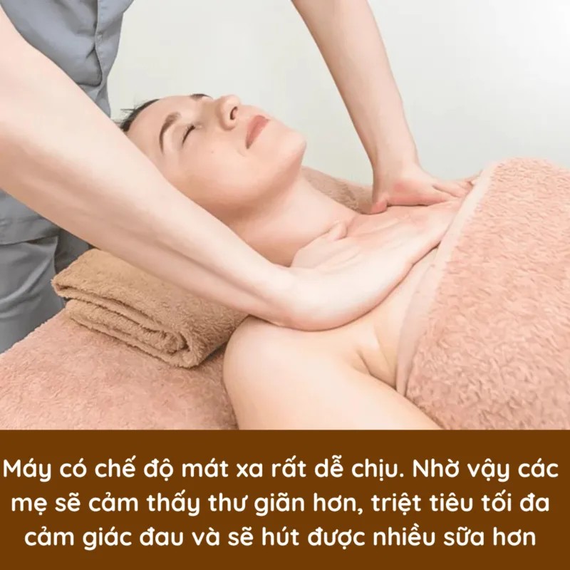 Adapter nguồn điện đa năng của máy hút sữa Medela Pump In Style Advanced