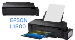 Hình ảnh minh họa các bộ phận bên trong máy in Epson có thể gây ra lỗi không ra mực.