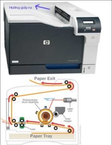 Hình ảnh minh họa chi tiết cấu tạo và cơ chế hoạt động của máy in laser đen trắng