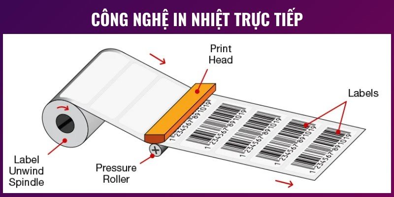 Máy in nhiệt trực tiếp in tem nhãn