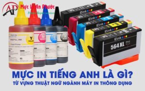 Hình ảnh minh họa các loại hộp mực máy in (Toner Cartridge, Ink Cartridge) và bộ phận liên quan