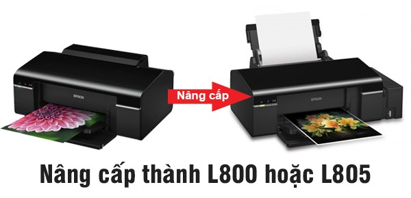 alt: Quy trình nâng cấp máy in Epson T50 thành Epson L800 diễn ra nhanh chóng và mang lại nhiều tiện ích