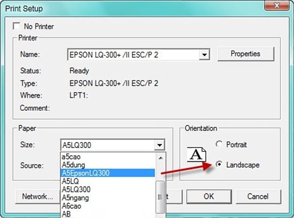 Các tùy chọn trong Printer Setup để định dạng in hóa đơn A5 ngang