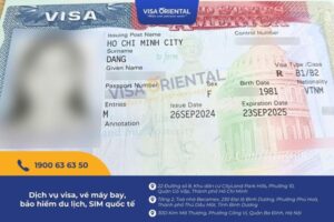 Hướng Dẫn Chi Tiết Cách In Mạch In Ra Giấy