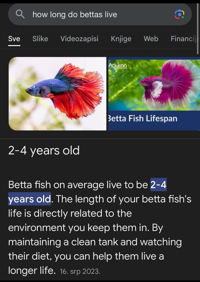 Tuổi thọ của trống máy in là bao lâu?