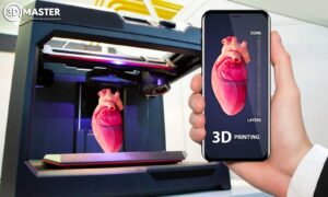 Mô hình trái tim 3D phức tạp ứng dụng trong y tế