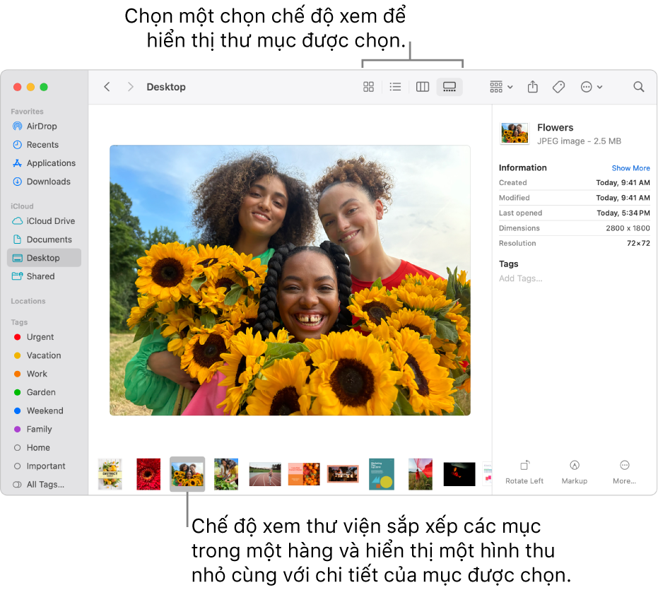Cách sửa lỗi máy in không theo thứ tự trang in