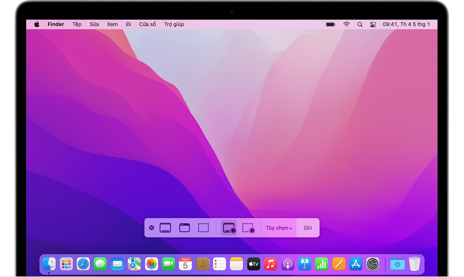 Máy in Film Chụp Bản: Công nghệ và Ứng dụng trong In ấn