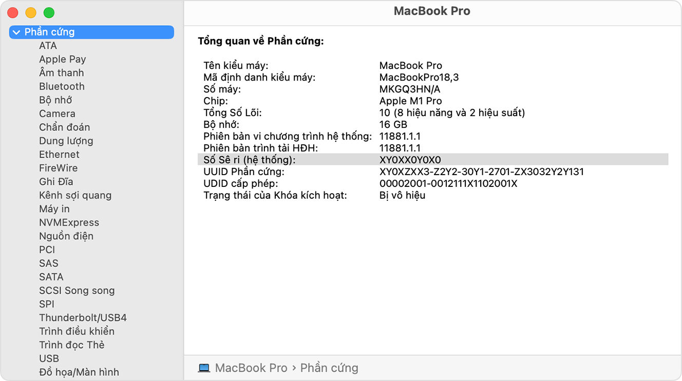 Máy in Canon 3 trong 1: Hướng dẫn chọn và sử dụng hiệu quả