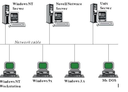 Mô hình liên kết các máy tính trong mạng lưới