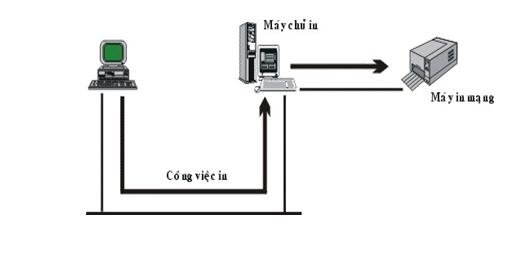 Các ứng dụng thực tiễn của mạng máy tính trong kinh doanh và học tập
