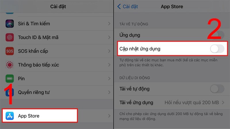Gạt thanh tròn tại mục Cập nhật ứng dụng sang trái để tắt cập nhật Skype trên iPhone