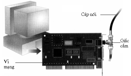 Card mạng và giắc cắm RJ45 kết nối máy tính vào mạng