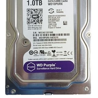 Ổ cứng HDD Western Tím 1TB, phụ kiện máy tính giá sỉ đáng tin cậy
